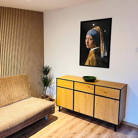 Apartament Estera Stary Toruń 外观 照片